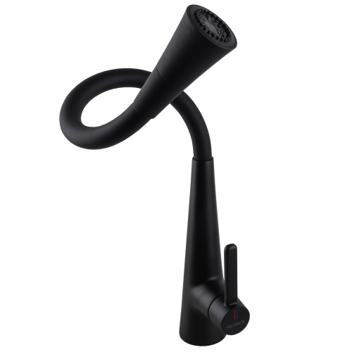 Змішувач для кухні Globus Lux LAZER Pro GLPR-203SM-BB